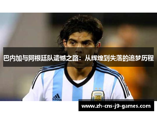 巴内加与阿根廷队遗憾之路：从辉煌到失落的追梦历程
