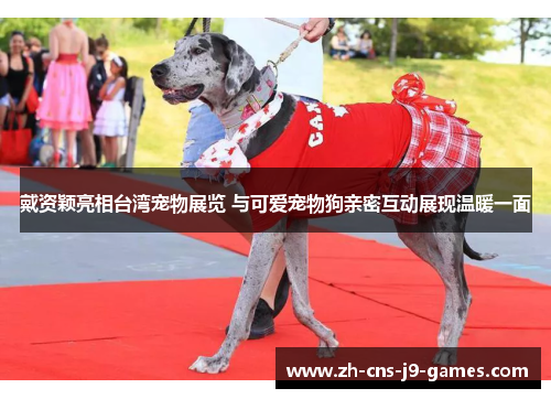 戴资颖亮相台湾宠物展览 与可爱宠物狗亲密互动展现温暖一面