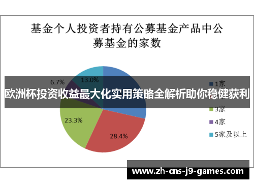 欧洲杯投资收益最大化实用策略全解析助你稳健获利