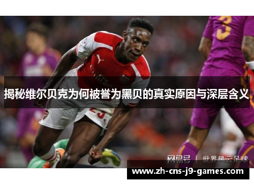 揭秘维尔贝克为何被誉为黑贝的真实原因与深层含义